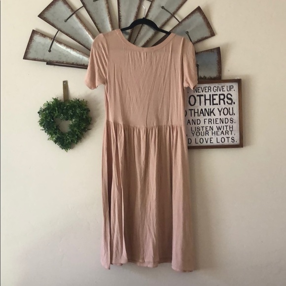 Blush Stevie & Company Dress - Picture 4 of 4